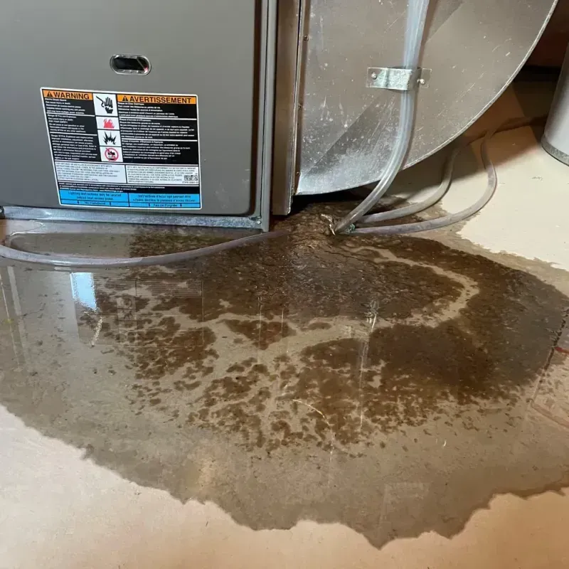 Appliance Leak Cleanup in Grayson County, VA